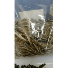 New Crop Wholesale Different Type Of Sunflower Seeds